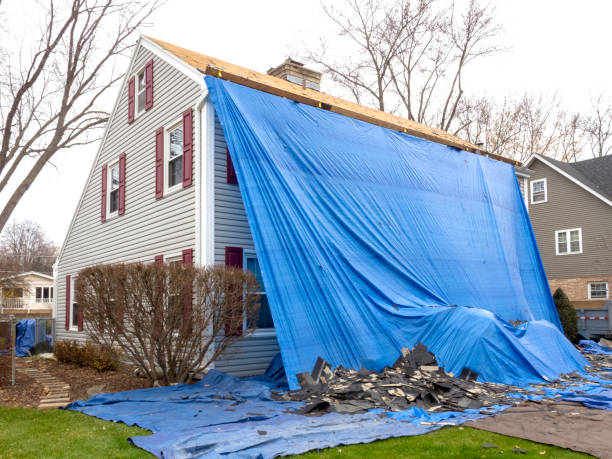 Best Demolition Debris Removal  in Chatsworth, IL
